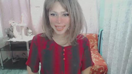 shanecutie from Cherry is Freechat